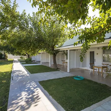 Palm Bay 3* Emecik